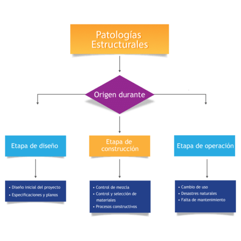 Qu Es Una Patolog A Estructural Da Vinci Ingenier A